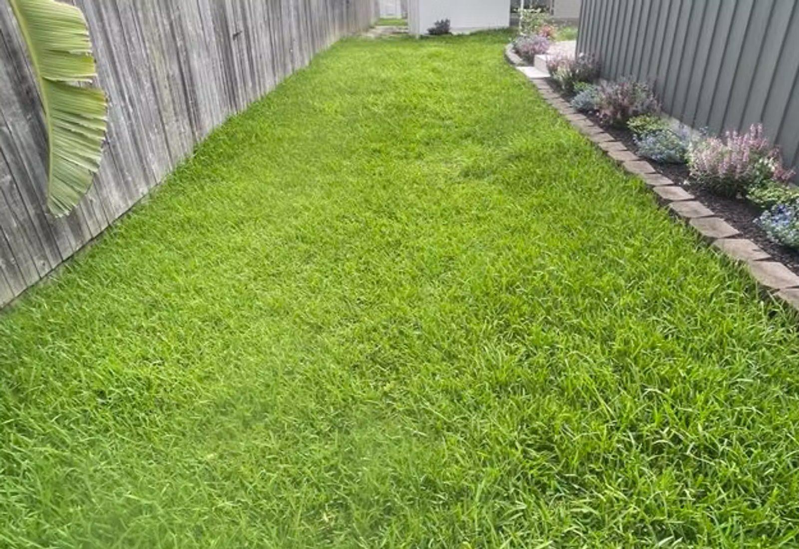 Garden cleanup