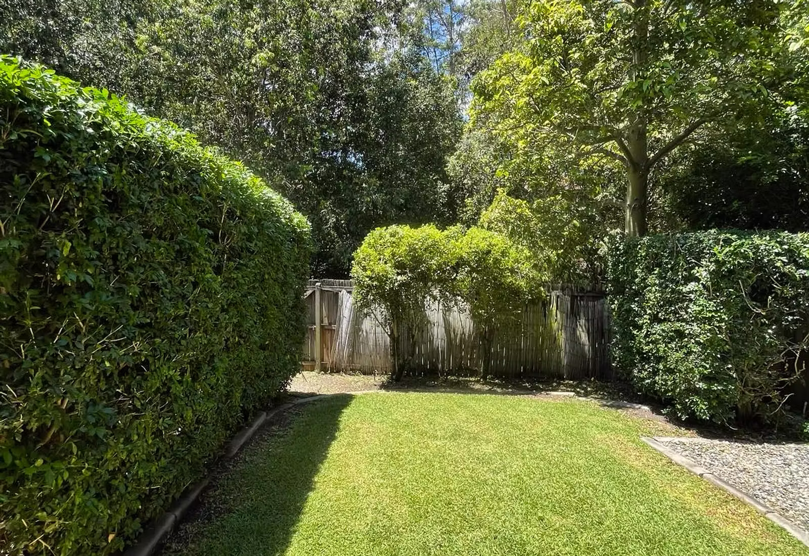 Lawn Care Program Brisbane