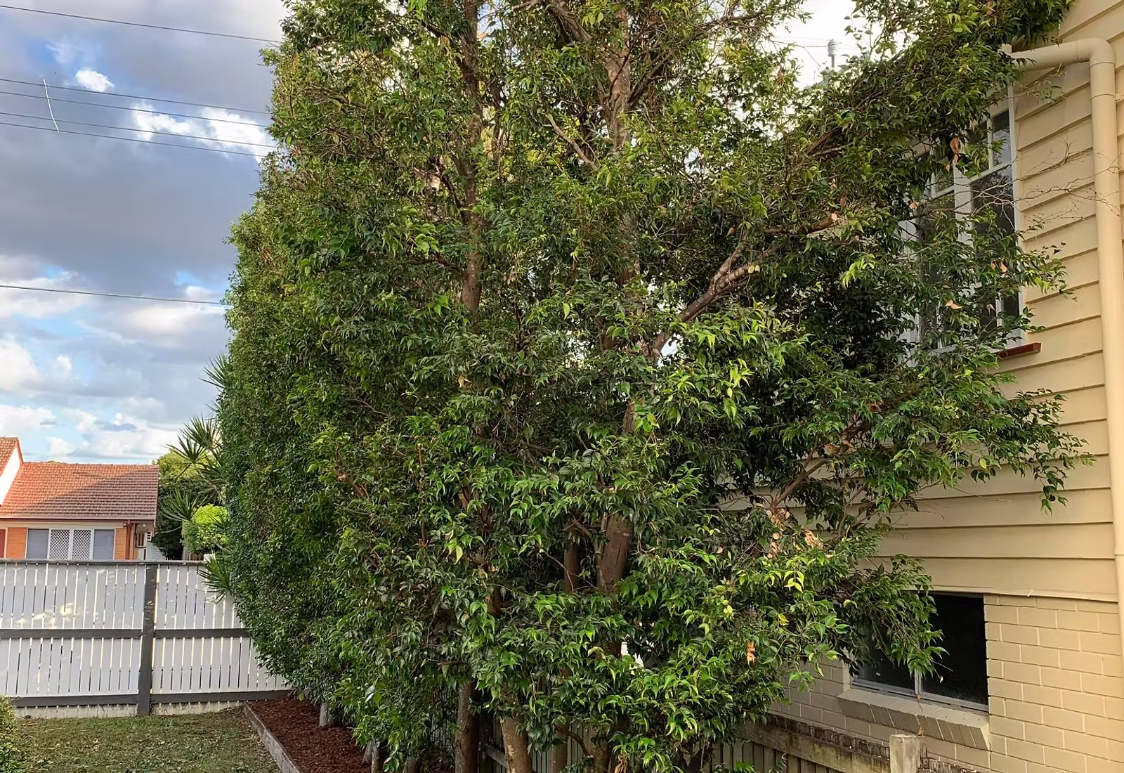 Commercial Maintenance Brisbane