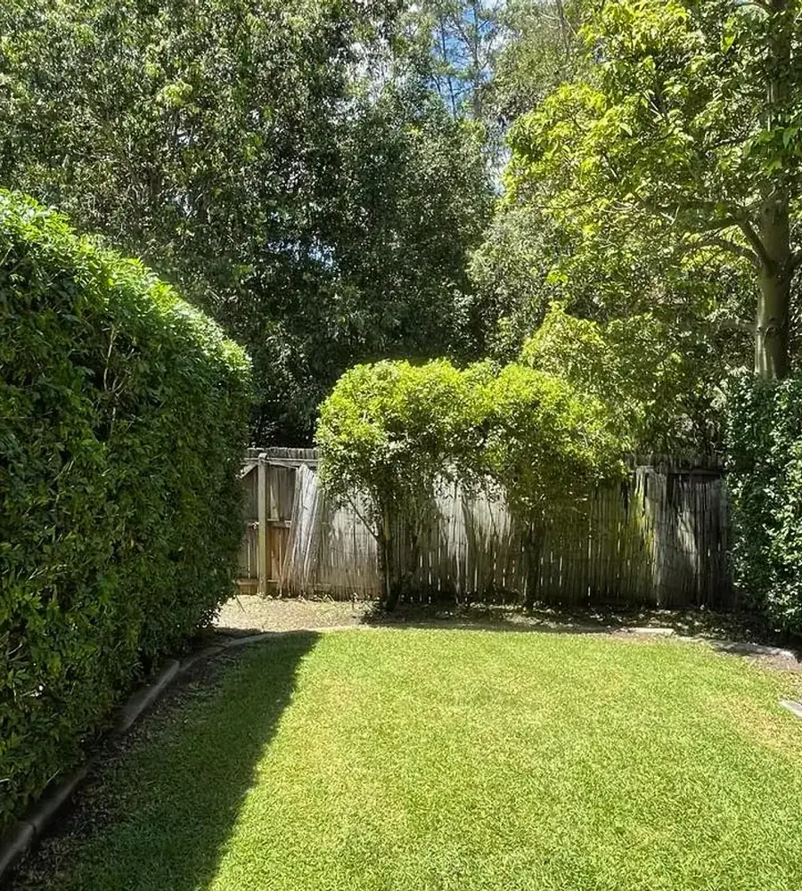 Manicured lawn and hedge line maintained by Selva Lawns & Gardens
