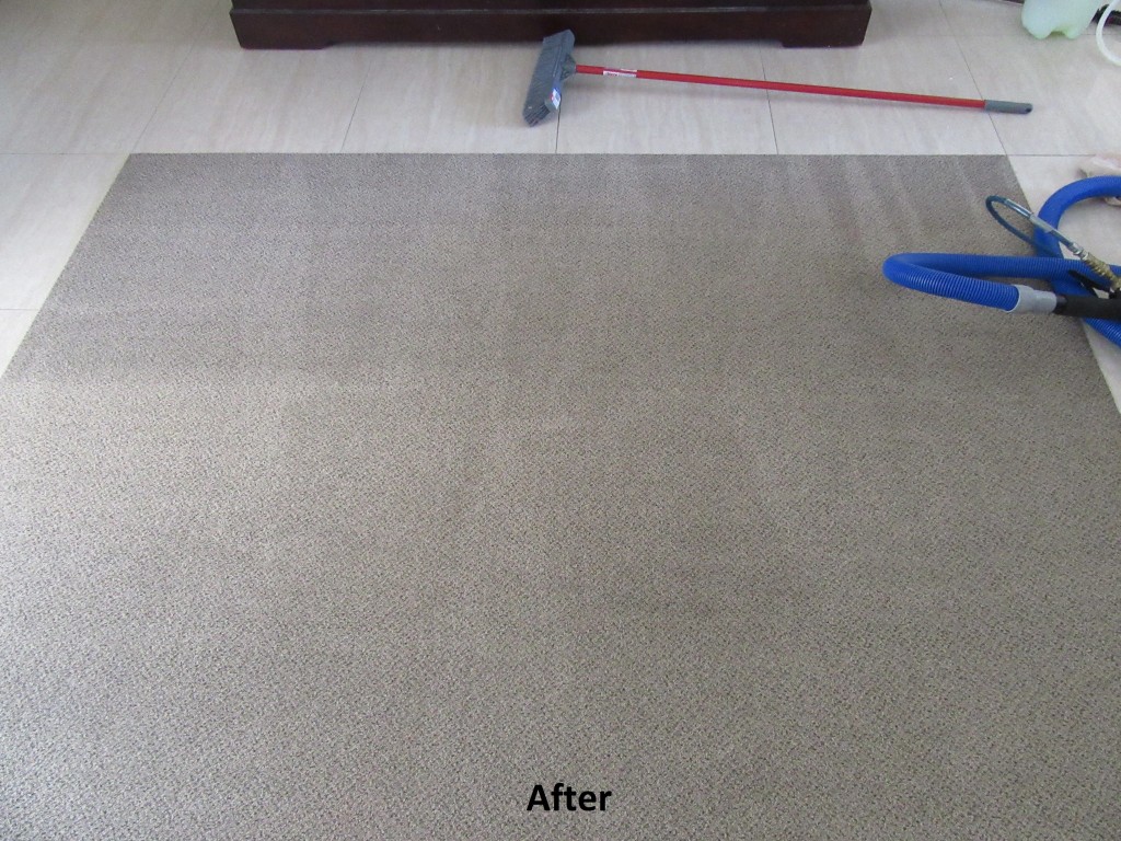 Shazam Carpet Cleaning gallery image