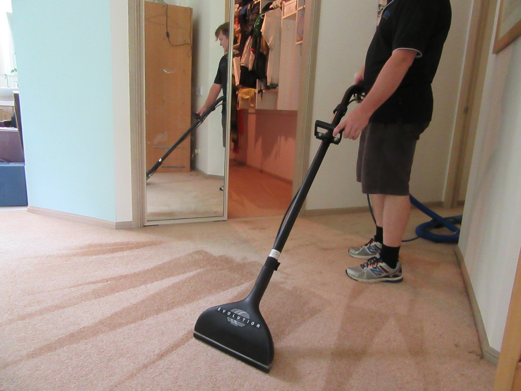 Carpet cleaning near Nerang
