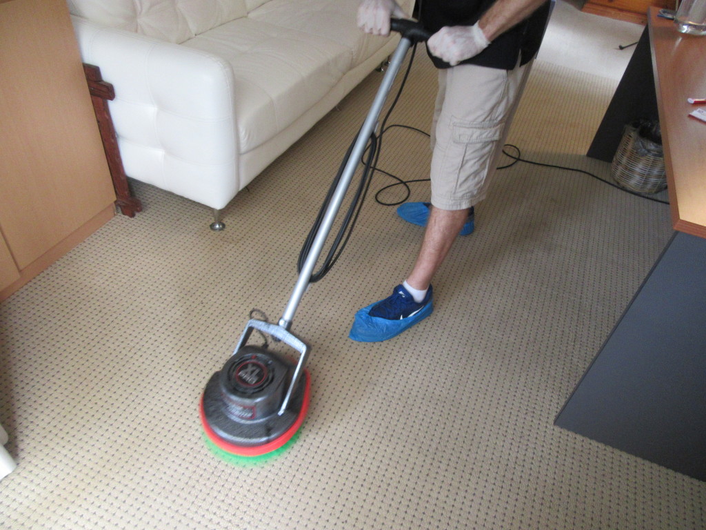 Gold Coast carpet cleaning example