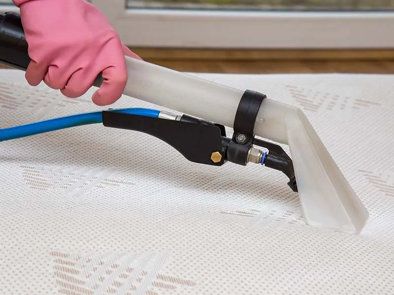 Mattress Cleaning visual