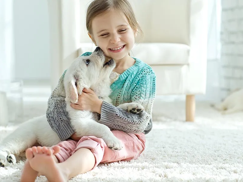 Odour Removal visual