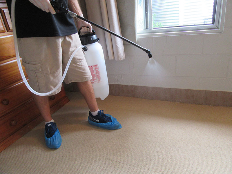 Shazam Carpet Cleaning gallery image