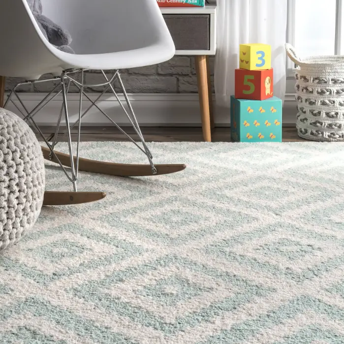 Rug Cleaning visual