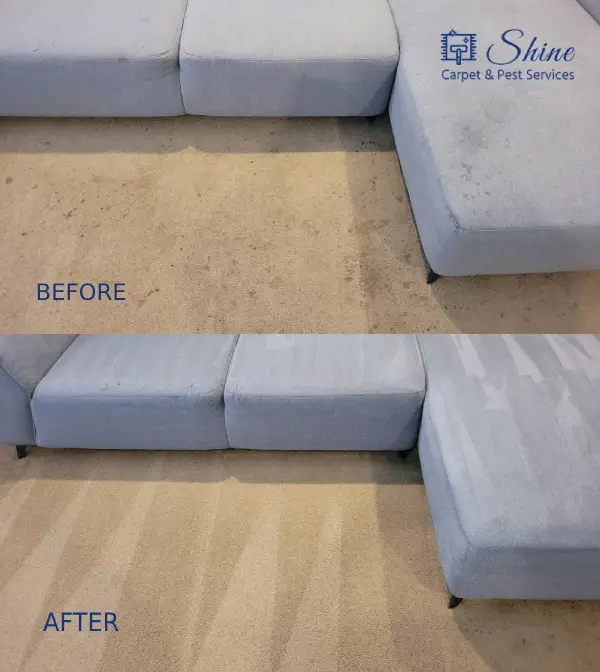 Carpet cleaning before and after