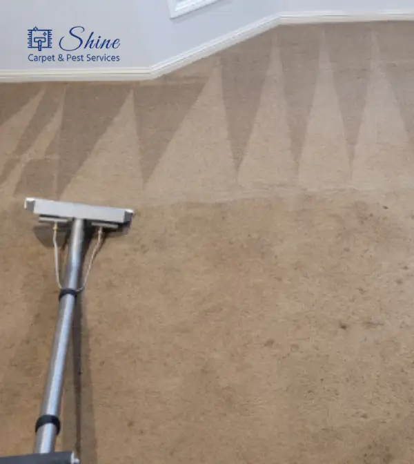 Carpet cleaning before and after result