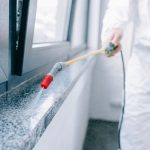 Pest Control by Shine Carpet & Pest Services