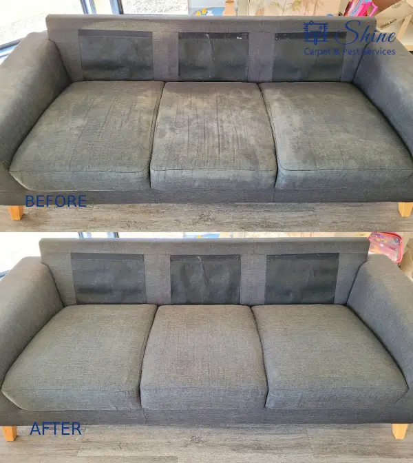 Rug Cleaning by Shine Carpet & Pest Services