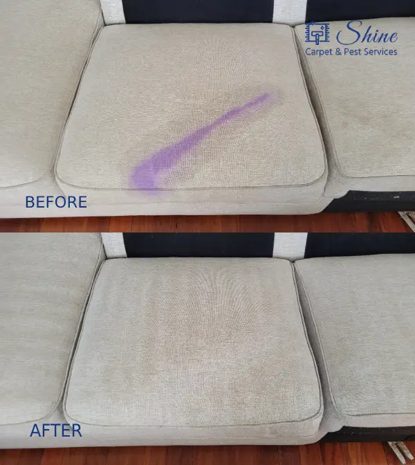 Upholstery Cleaning by Shine Carpet & Pest Services