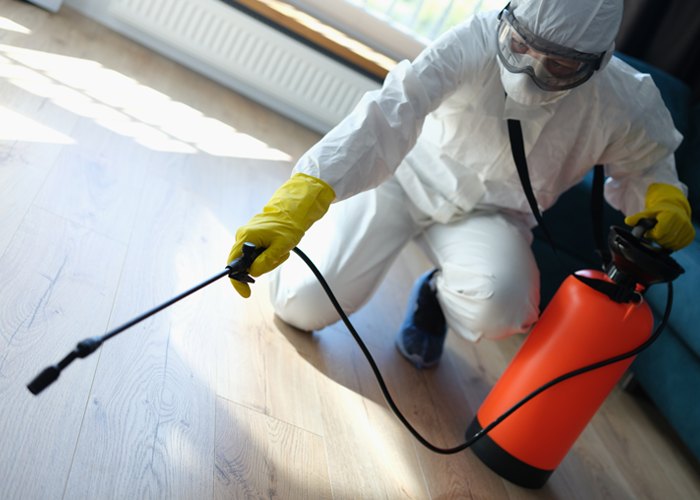 Mould Removal by Shivi Bond Cleaning