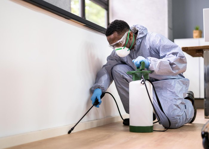 Pest Control by Shivi Bond Cleaning