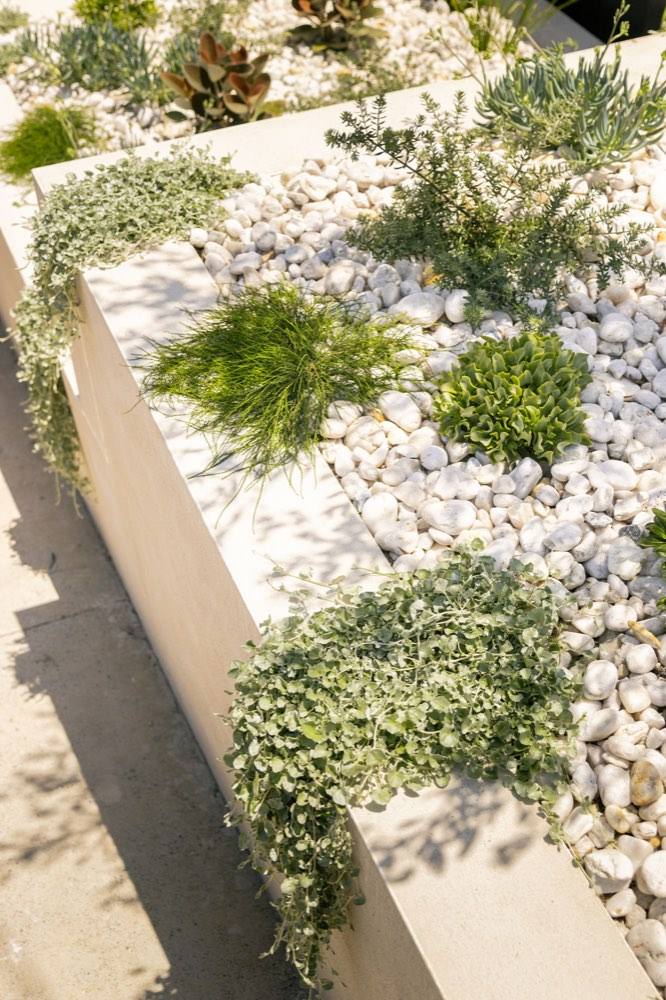Signature Scapes residential landscaping project 2