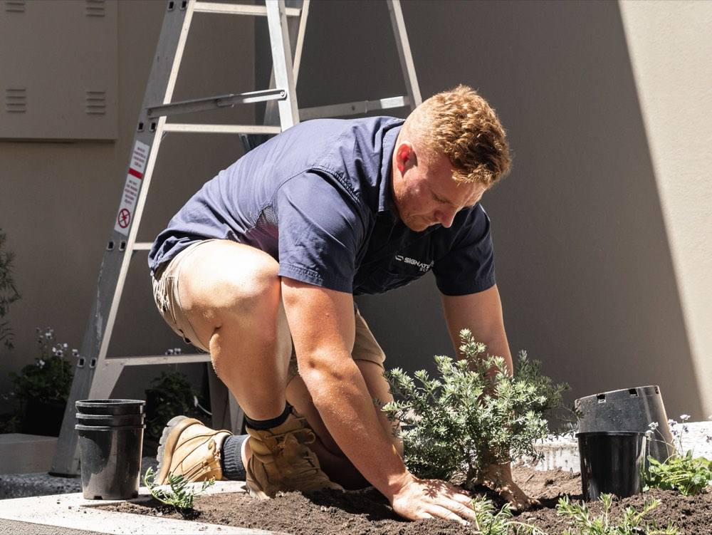 Signature Scapes residential landscaping project 3