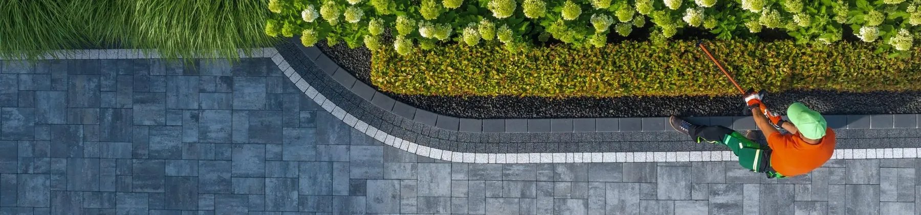 Gardener neatly edging a lawn beside a hedge