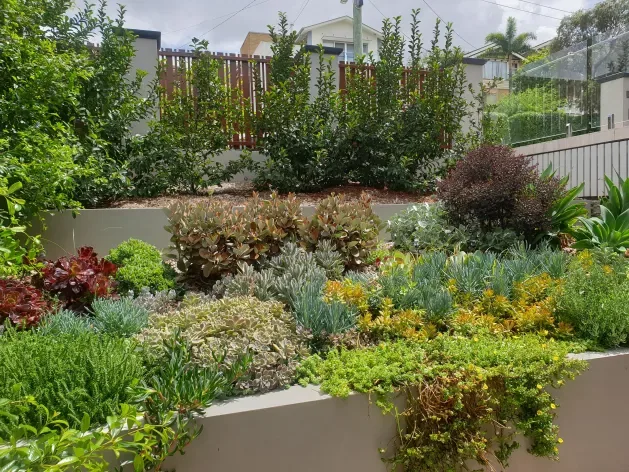 Lush terraced garden bed full of healthy plants