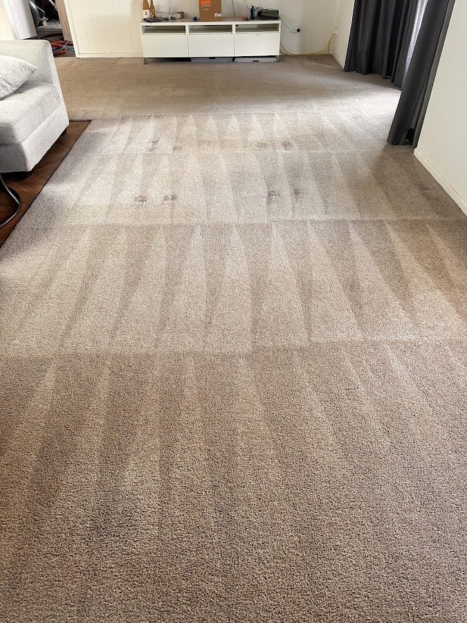 Carpet steam cleaning result showing clean striped carpet