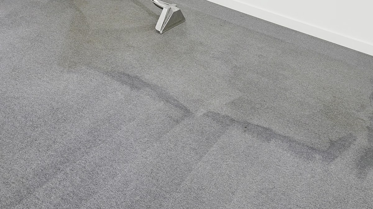 Professional carpet steam cleaning in Logan Reserve