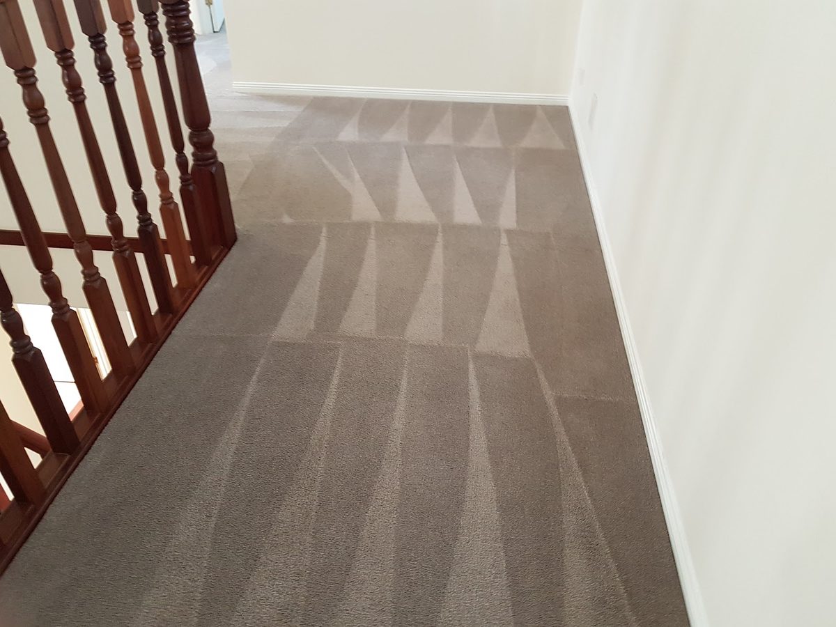 Carpeted staircase deep-cleaned top to bottom