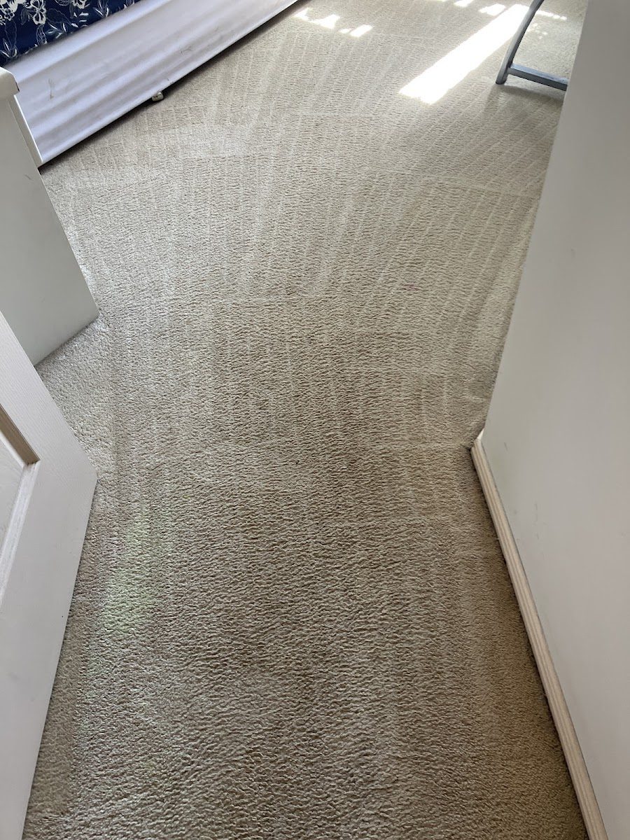 Bedroom carpet cleaned and refreshed