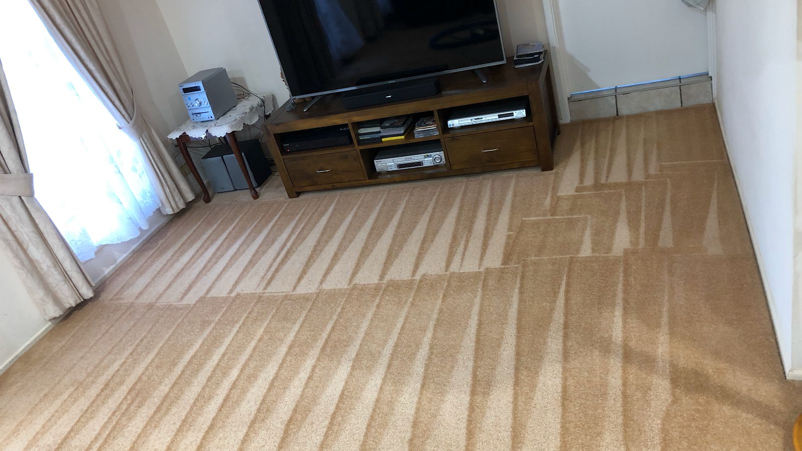 Freshly steam-cleaned lounge-room carpet with crisp vacuum lines in a Brisbane home