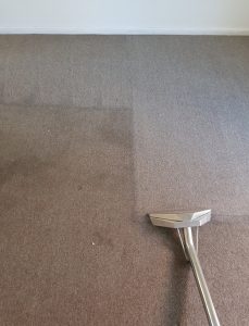 Upholstery cleaning before and after