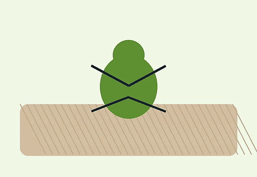 Pest Control visual