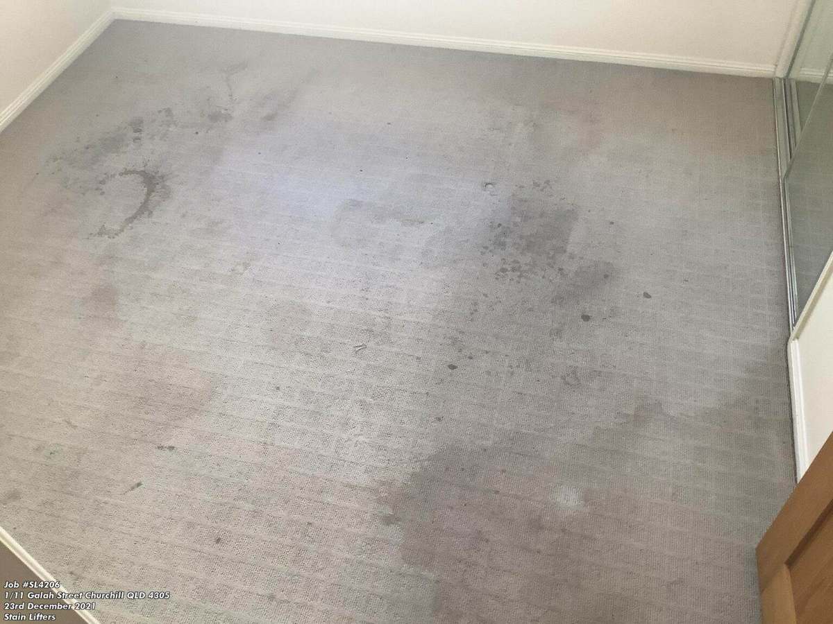 Before photo of very dirty carpet