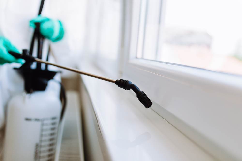 School pest control treatment