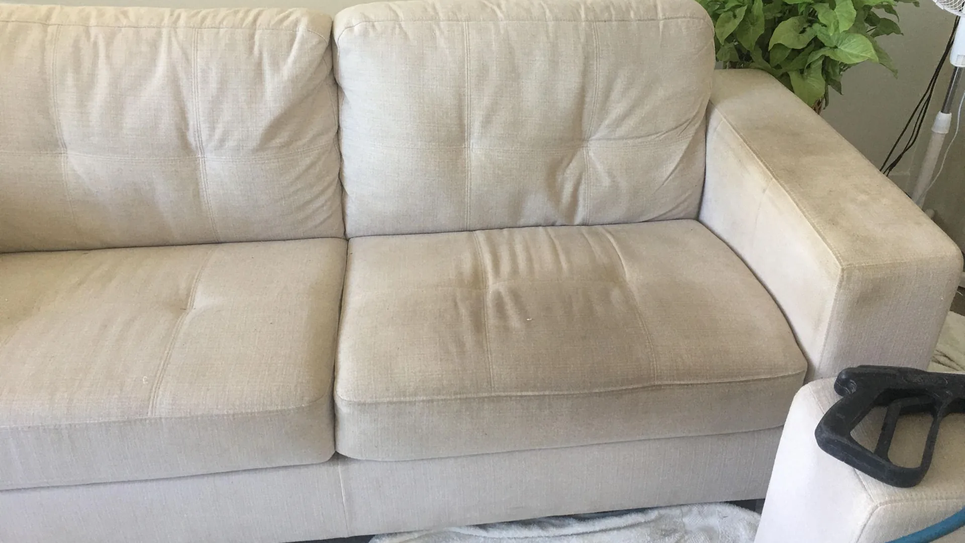 Clean lounge after upholstery cleaning by Stellar Carpet Cleaning