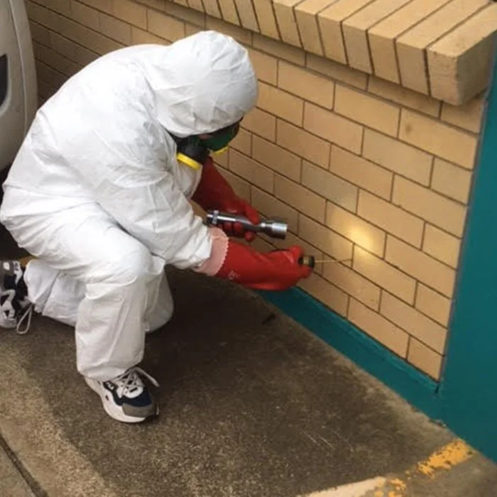 Pest Control
