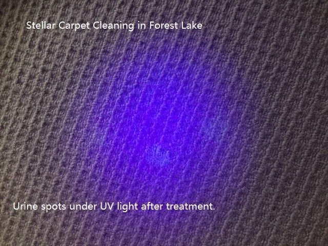 Urine spot after