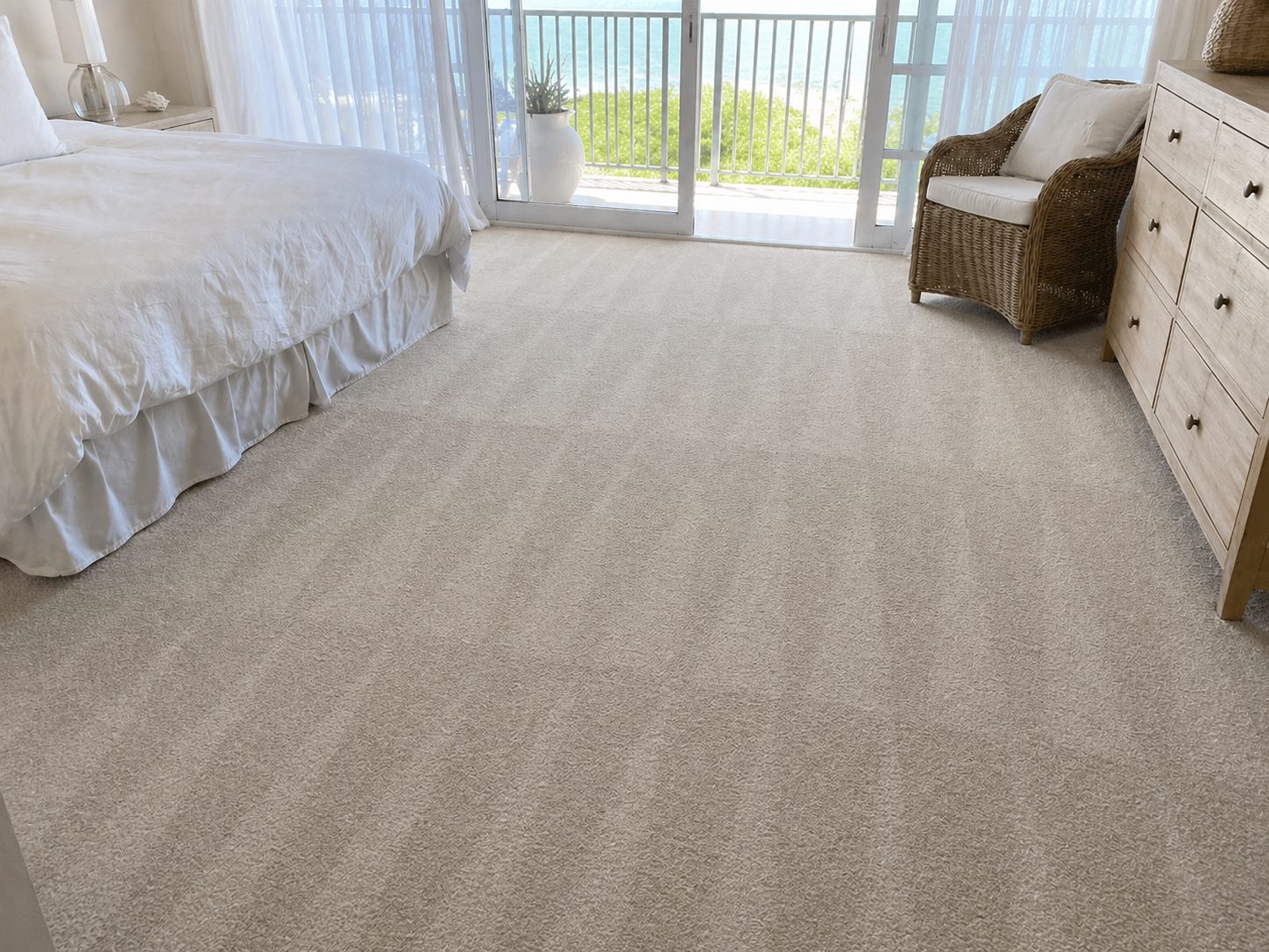 Freshly steam cleaned carpet in a Noosaville home