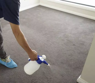 Flea & Pest Treatment in Noosa & the Sunshine Coast