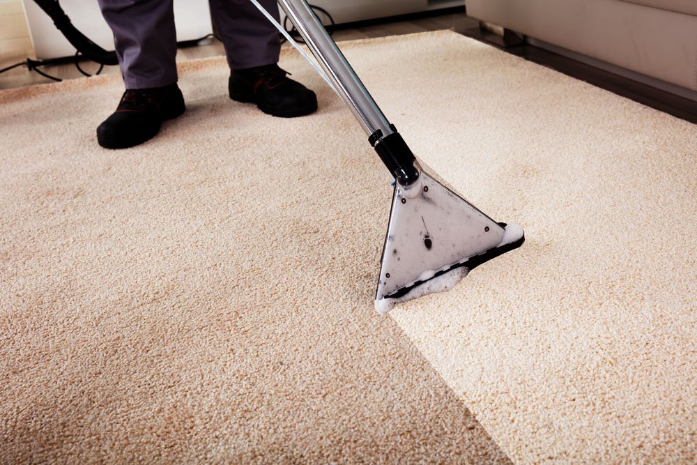 Carpet Cleaning in Noosa & the Sunshine Coast