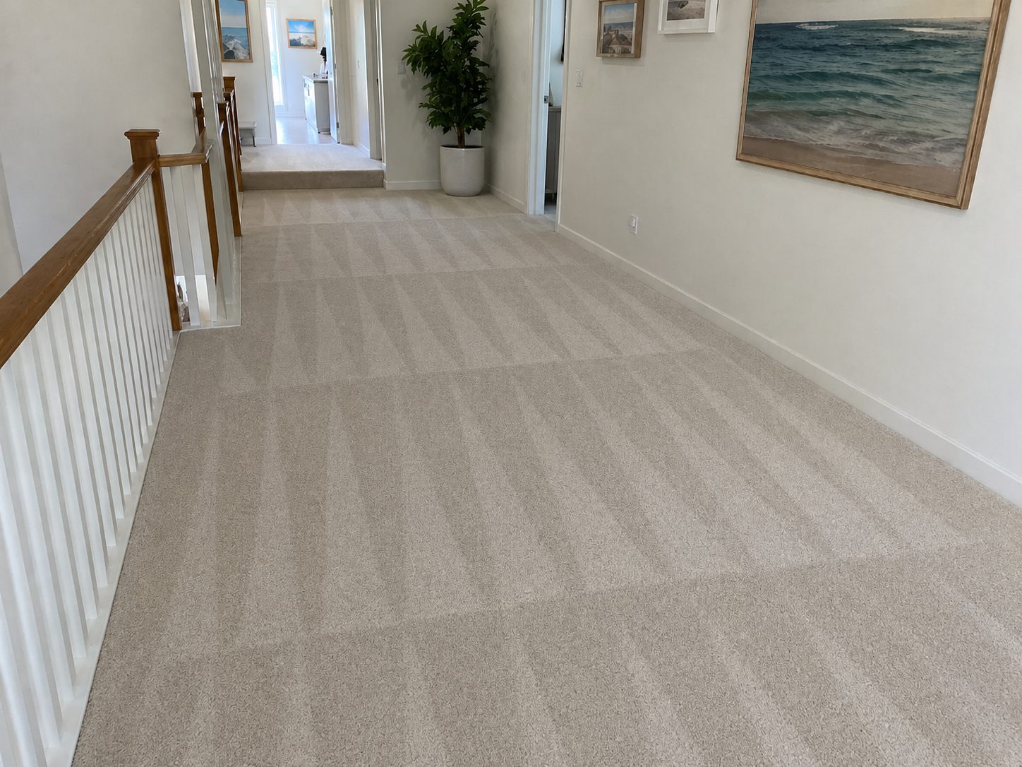 Before and after carpet cleaning result