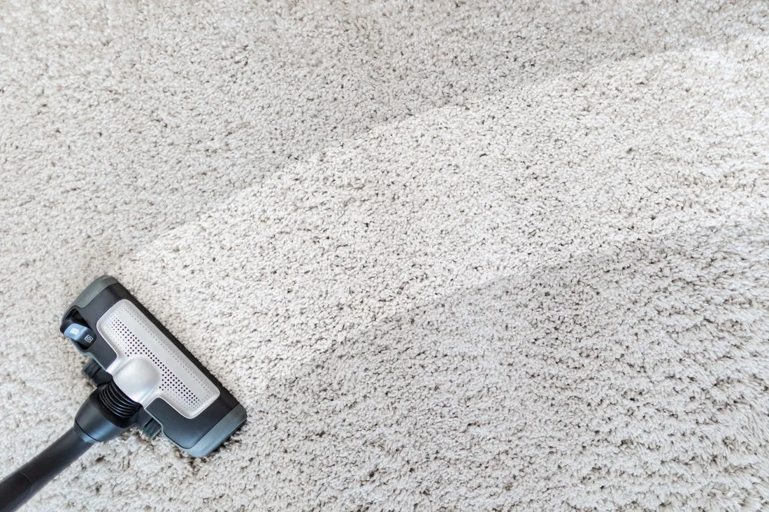 Stain & Odour Removal