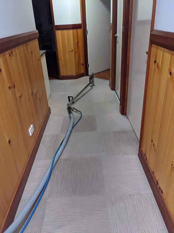 Carpet cleaning