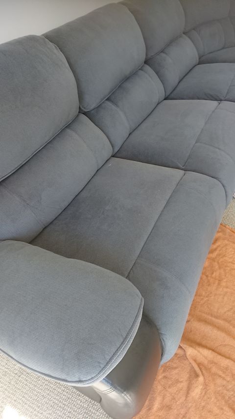 Corey providing professional carpet cleaning