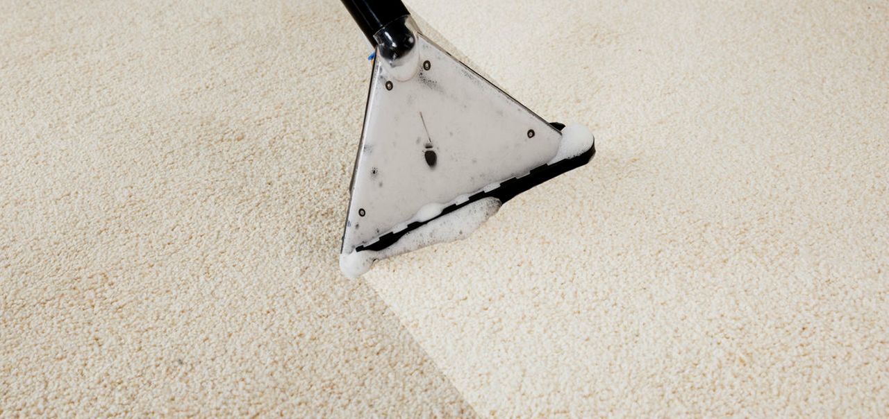 Professional carpet steam cleaning on the Sunshine Coast