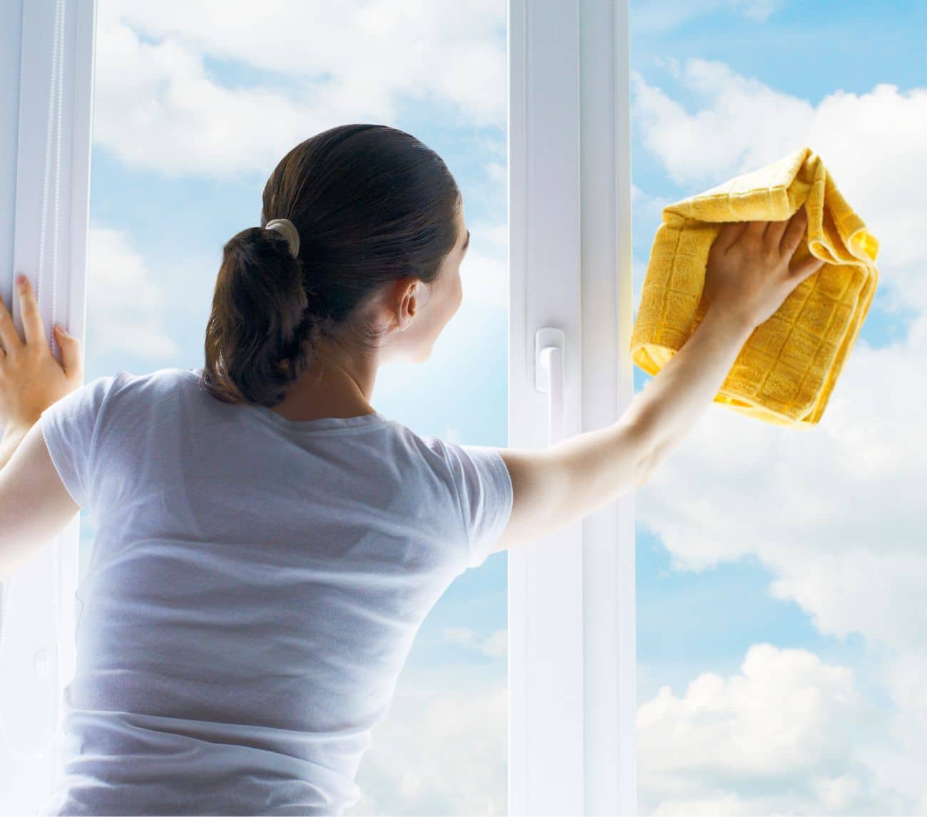 Window Cleaning on the Sunshine Coast
