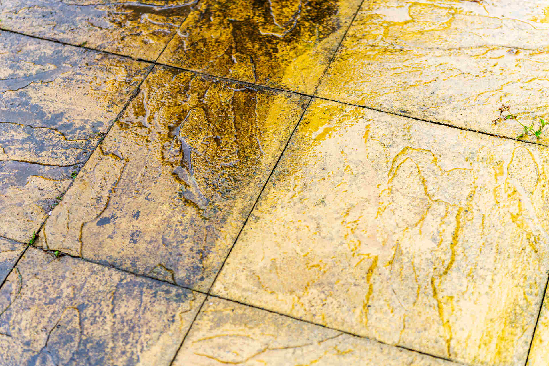 Tile & Grout Cleaning by Superman Cleaning Services