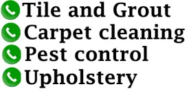 Frequently Asked Questions about Carpet Cleaning