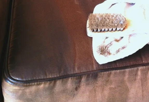 Upholstery Cleaning