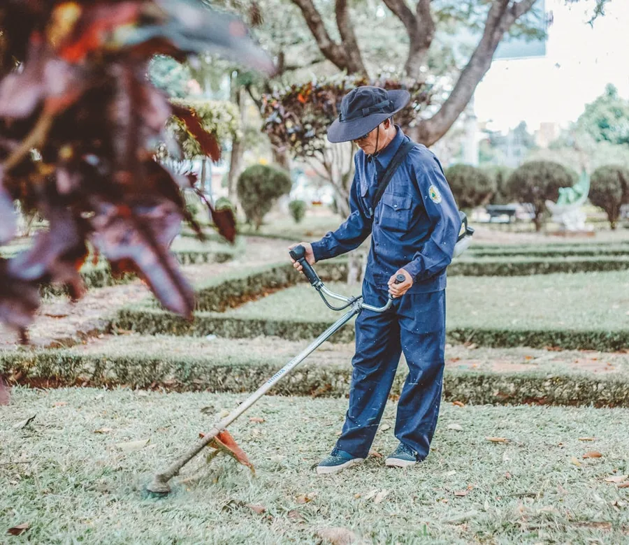 Gardener using a trimmer in a formal garden