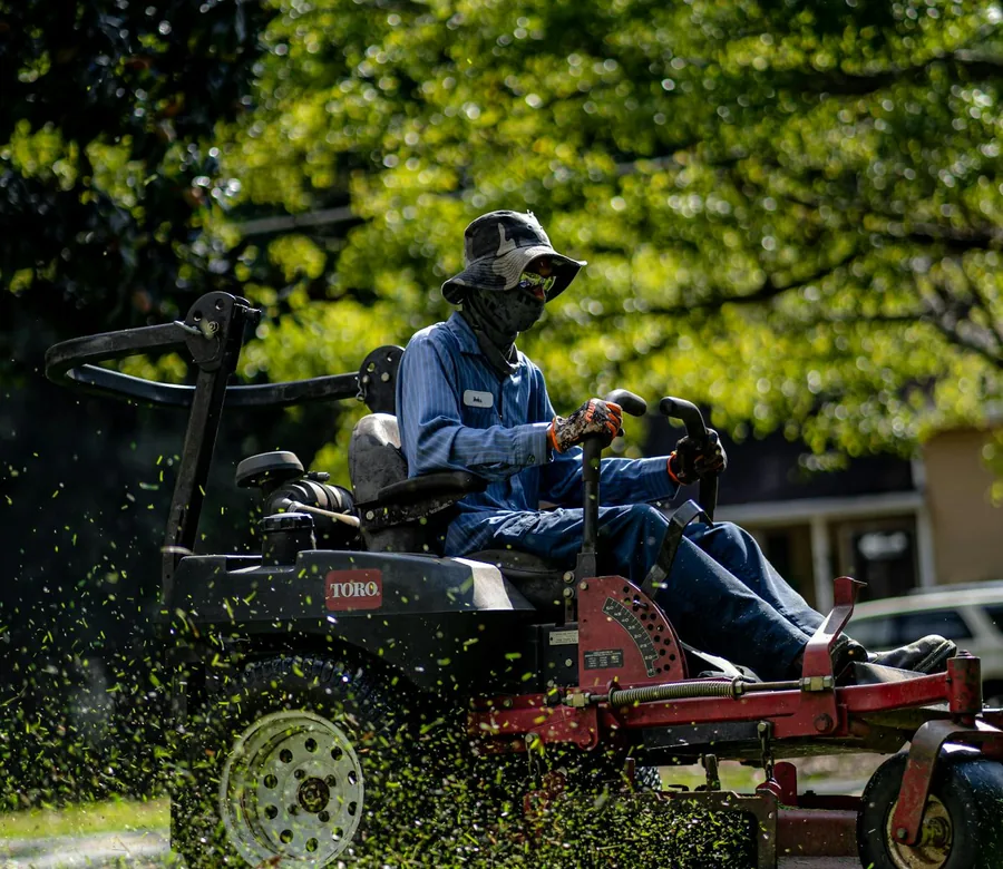 Person mowing a green lawn in a shaded garden setting