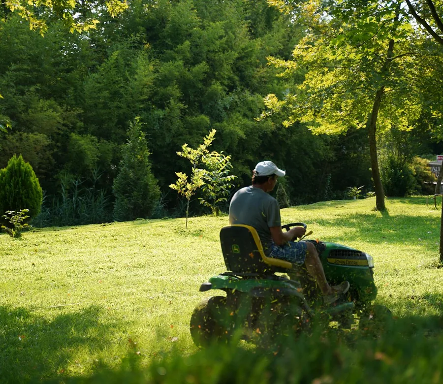 Freshly maintained lawn and trees in an outdoor garden area