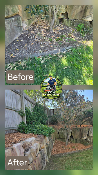 Hedge trimming service